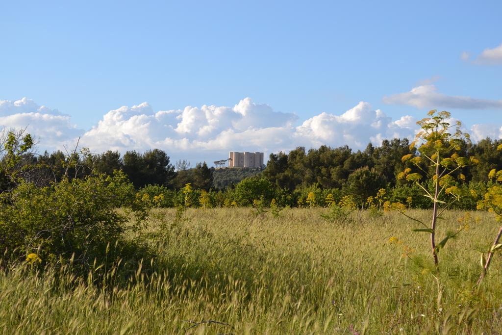 B&B Le Stagioni Castel Del Monte  Exteriér fotografie